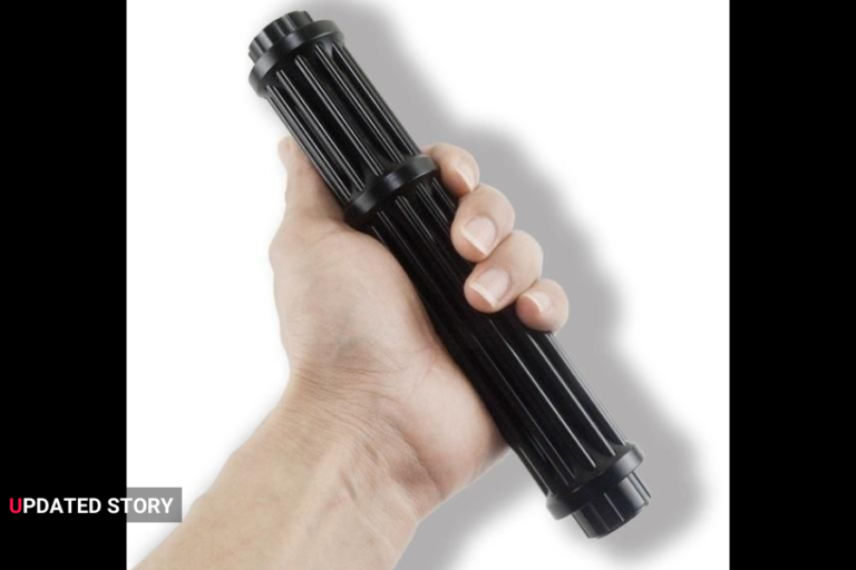 laser pointer chaser nyt