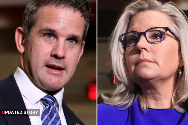 adam kinzinger net worth​